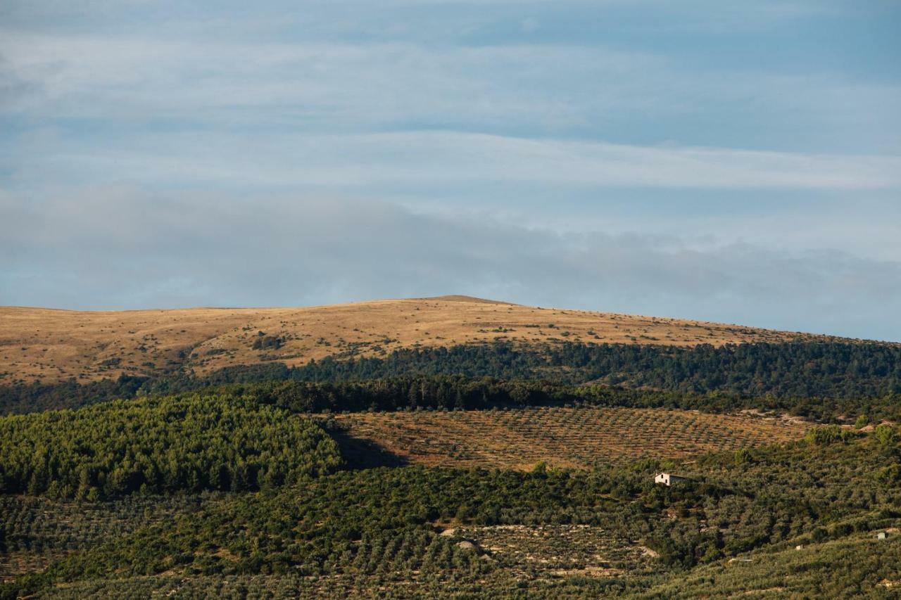 B&B Fior Fiore Spello Εξωτερικό φωτογραφία