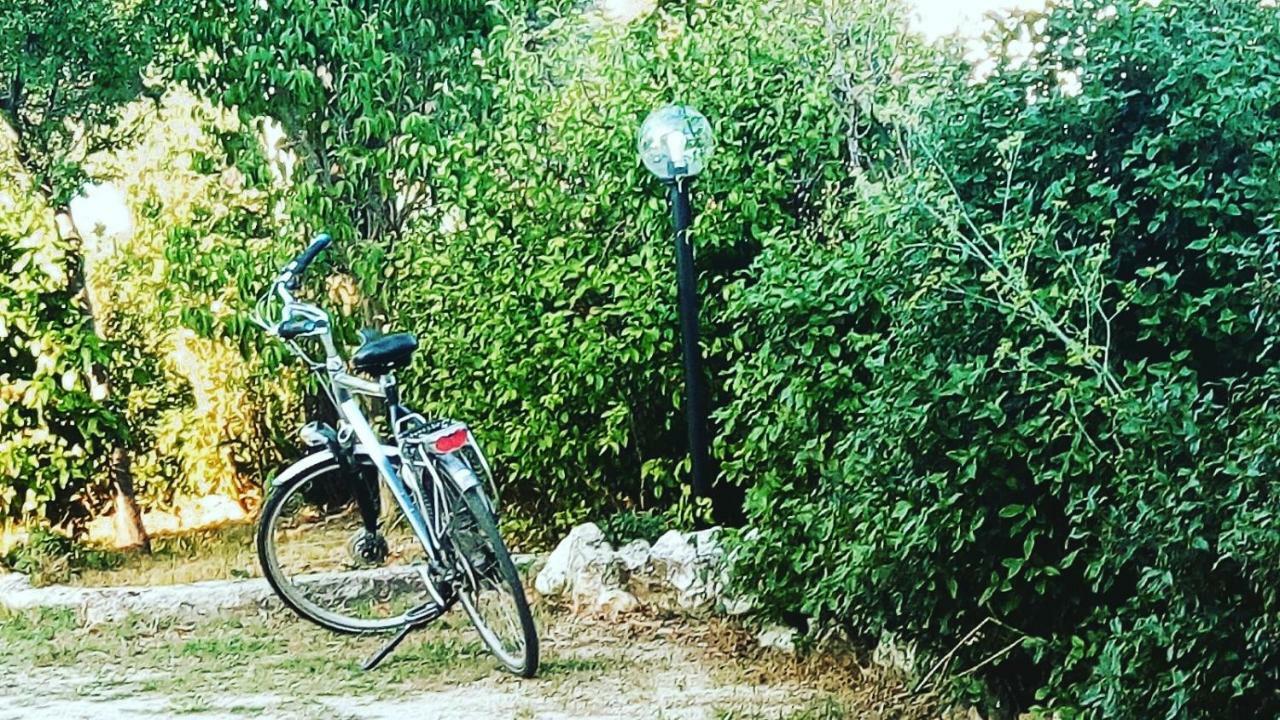 B&B Fior Fiore Spello Εξωτερικό φωτογραφία